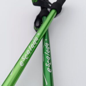 Kijki Fern - zielony jasny