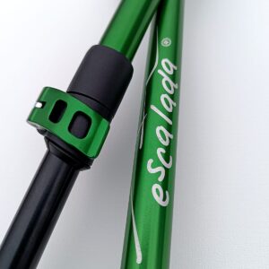 Kijki Elm - zielony ciemny